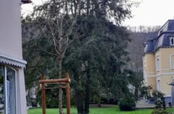 Galabau Finke Fachbach