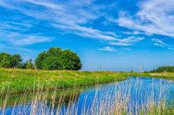 Praxis Monika Voßen